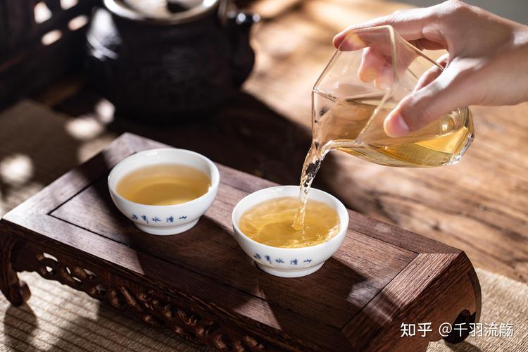 选购茶叶的五大关键因素 从入门到精通