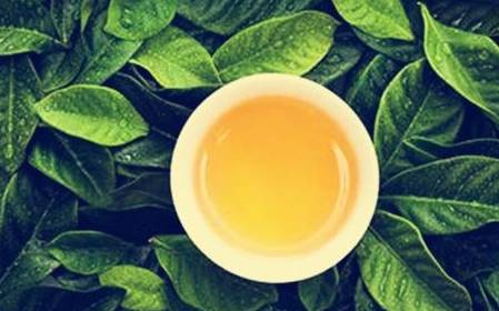 茶的真相 第一条就把我震住了