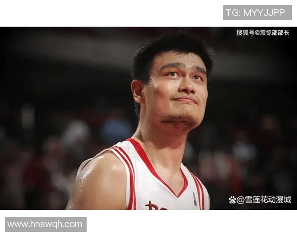 姚明与罗伊的对决：篮球场上的传奇碰撞与友谊的升华