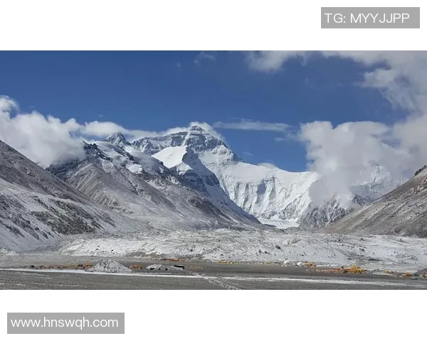 王伟的DOTA2人生深度对话探索游戏背后的梦想与挑战