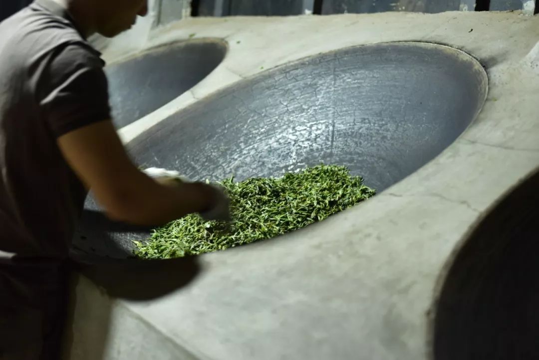 普洱茶 探秘“特定的加工工艺”背后的时光密码